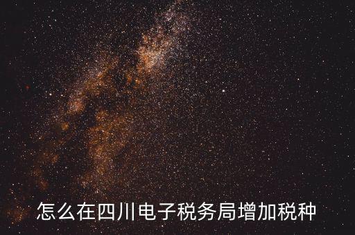 怎么在四川電子稅務局增加稅種