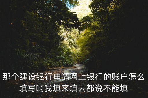 那個(gè)建設(shè)銀行申請(qǐng)網(wǎng)上銀行的賬戶怎么填寫啊我填來填去都說不能填