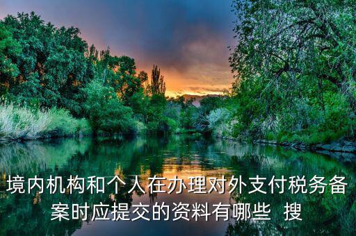 如何填列對外支付稅務(wù)備案表，境內(nèi)機構(gòu)和個人在辦理對外支付稅務(wù)備案時應(yīng)提交的資料有哪些  搜