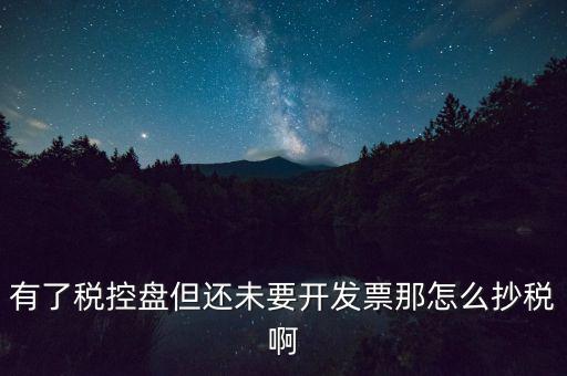 稅控盤(pán)如何抄報(bào)稅，有了稅控盤(pán)但還未要開(kāi)發(fā)票那怎么抄稅啊