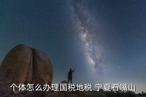 寧夏個稅如何申報，個體怎么辦理國稅地稅 寧夏石嘴山