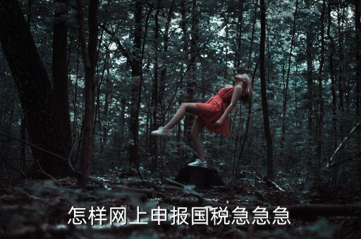 國稅網(wǎng)上稅務如何申報，怎樣網(wǎng)上申報國稅急急急