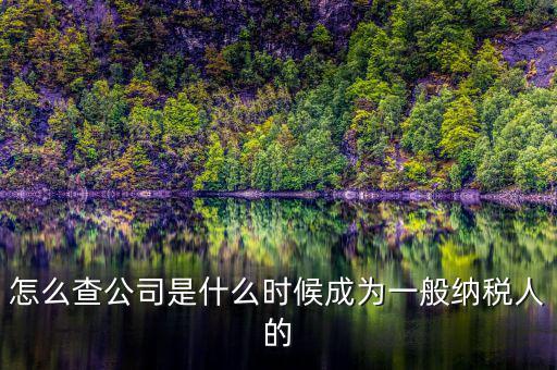如何查詢一般人納稅認(rèn)定時(shí)間，怎么查公司是什么時(shí)候成為一般納稅人的
