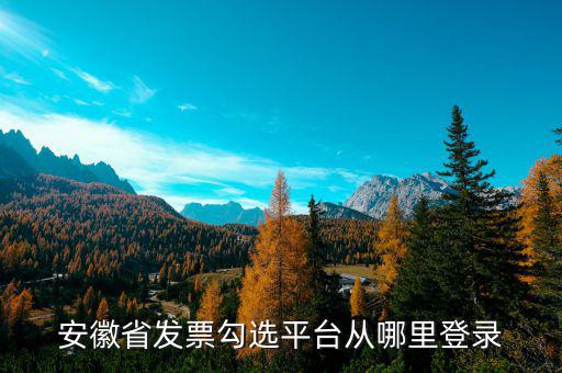 安徽省如何在網(wǎng)上申請(qǐng)購發(fā)票，安徽省發(fā)票勾選平臺(tái)從哪里登錄