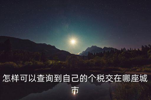 如何查詢個人所得稅所交地點，怎樣可以查詢到自己的個稅交在哪座城市