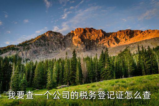 如何查詢稅務(wù)登記表，稅務(wù)登記證查詢