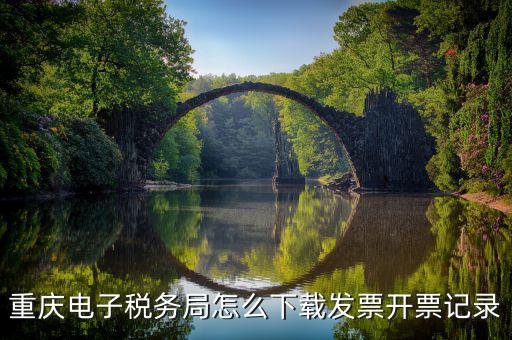 重慶市稅務(wù)局電腦如何下載，重慶市自然人電子稅務(wù)局扣繳端怎么下載