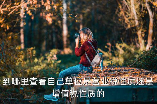到哪里查看自己單位是營業(yè)稅性質還是增值稅性質的
