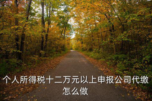 如何做好12萬(wàn)元申報(bào)征收工作，個(gè)人所得稅十二萬(wàn)元以上申報(bào)公司代繳怎么做