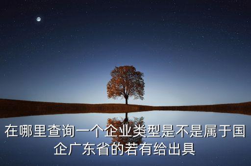 單位類型如何查詢，如何查詢企業(yè)管理類別