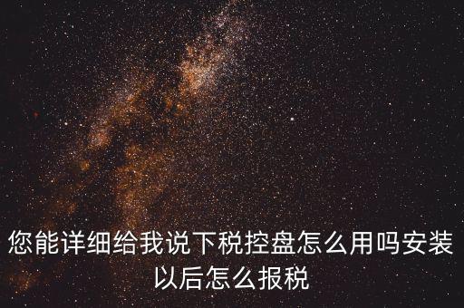 您能詳細給我說下稅控盤怎么用嗎安裝以后怎么報稅