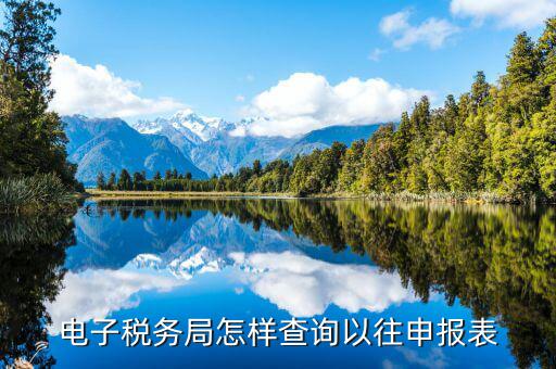 云廳里如何查看往期申報(bào)表，國稅網(wǎng)上辦稅平臺(tái)如何查詢以前年度增值稅納稅申報(bào)表