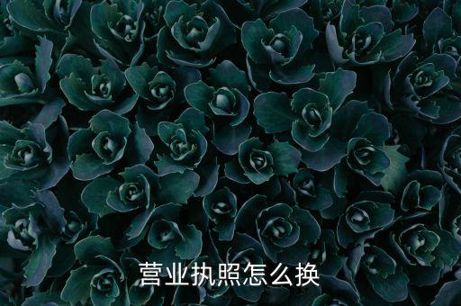 營(yíng)業(yè)執(zhí)照怎么換