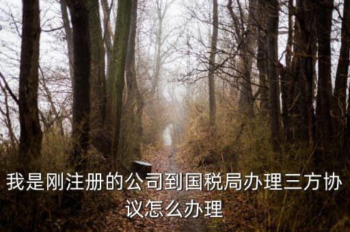 如何激活稅務(wù)三方協(xié)議，稅務(wù)三方協(xié)議怎樣激活