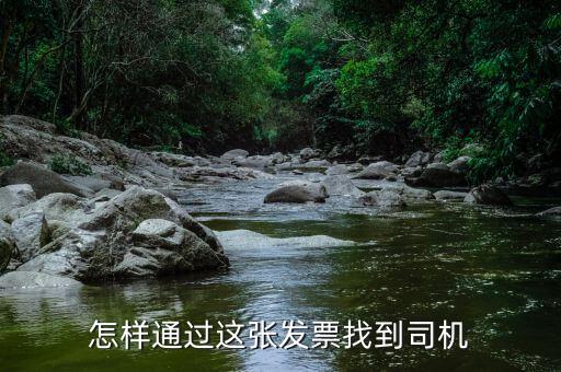 如何通過發(fā)票碼查到車，發(fā)票丟失了沒記錄只有發(fā)票號(hào)碼與發(fā)票代碼可以查的出發(fā)票上的
