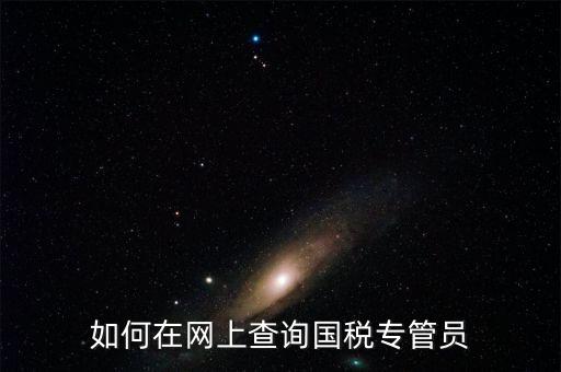 如何在網上查詢國稅專管員