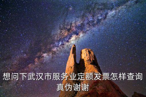 想問(wèn)下武漢市服務(wù)業(yè)定額發(fā)票怎樣查詢(xún)真?zhèn)沃x謝