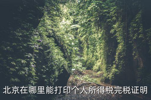 北京如何打個稅證明，北京買房 如何開個稅證明