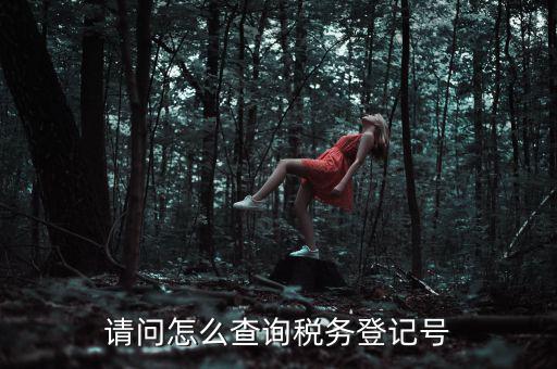 請(qǐng)問怎么查詢稅務(wù)登記號(hào)