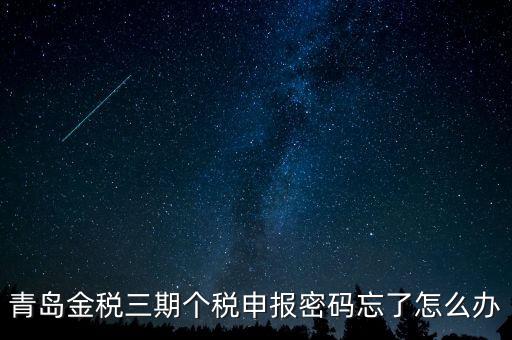 如何重置金三個(gè)稅系統(tǒng)申報(bào)密碼，青島金稅三期個(gè)稅申報(bào)密碼忘了怎么辦