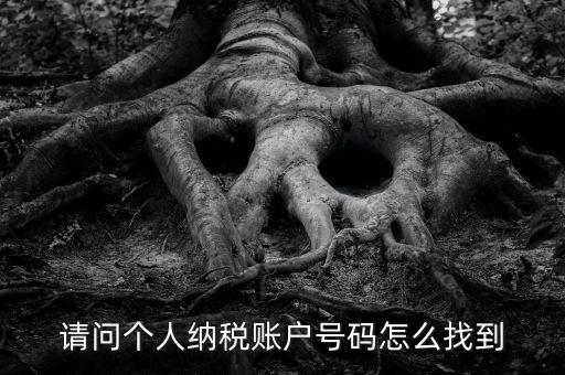 如何查詢個(gè)人稅務(wù)編號(hào)查詢，如何查看個(gè)人名下的稅務(wù)證