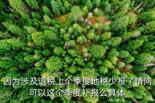 因為涉及退稅上個季度地稅少報了請問可以這個季度補(bǔ)報么具體