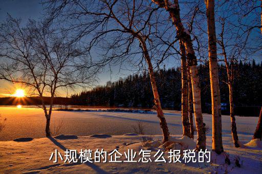 小企業(yè)會(huì)計(jì)如何報(bào)國(guó)稅，企業(yè)會(huì)計(jì)報(bào)稅流程是怎么樣的