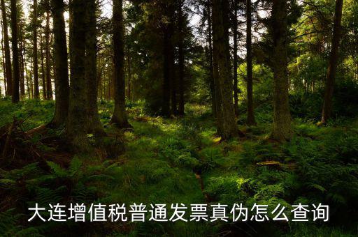 大連定額發(fā)票如何查詢系統(tǒng)，大連增值稅普通發(fā)票真?zhèn)卧趺床樵?/></a></span><span id=