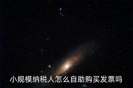 小規(guī)模納稅人怎么自助購(gòu)買(mǎi)發(fā)票嗎