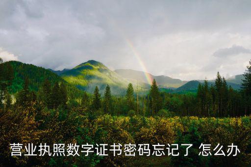 如何找回?cái)?shù)字證書密碼，營(yíng)業(yè)執(zhí)照數(shù)字證書密碼忘記了 怎么辦