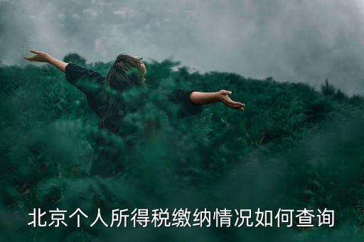 北京地稅個人如何查詢，如何查詢個人所得稅繳稅記錄