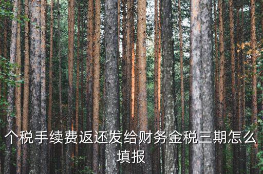 金稅三期獲如何連接稅務局，金稅三期個人所得稅扣繳系統怎樣連接地稅