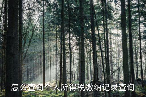 沈陽如何查個人所得稅繳費明細，如何查詢個人所得稅申報明細情況