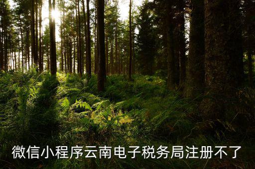 微信小程序云南電子稅務局注冊不了