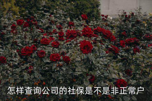 怎樣查詢(xún)公司的社保是不是非正常戶(hù)