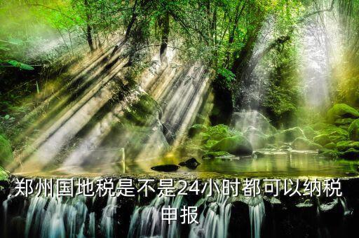 鄭州如何進(jìn)行地稅網(wǎng)上申報，鄭州國地稅是不是24小時都可以納稅申報