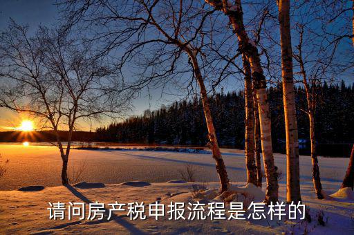 請(qǐng)問房產(chǎn)稅申報(bào)流程是怎樣的