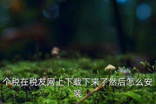 個(gè)稅在稅友網(wǎng)上下載下來(lái)了然后怎么安裝
