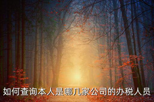 如何查詢企業(yè)辦稅人信息，怎么查詢單位登記稅務(wù)經(jīng)辦人