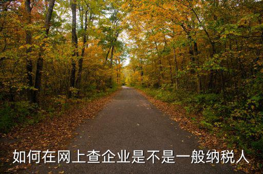 如何在網上查企業(yè)是不是一般納稅人