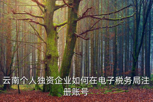 云南個人獨資企業(yè)如何在電子稅務局注冊賬號