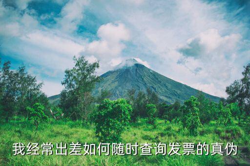 手機如何查發(fā)票真?zhèn)?，?lián)通發(fā)票怎么查詢電子發(fā)票真?zhèn)?/></a></span><span id=