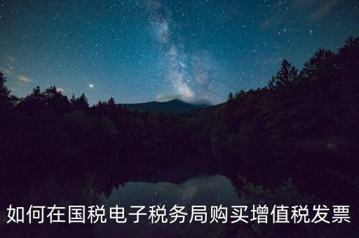 電子稅務局如何繳銷發(fā)票，如何在國稅電子稅務局購買增值稅發(fā)票