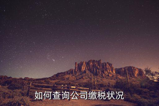 如何查詢公司繳稅狀況