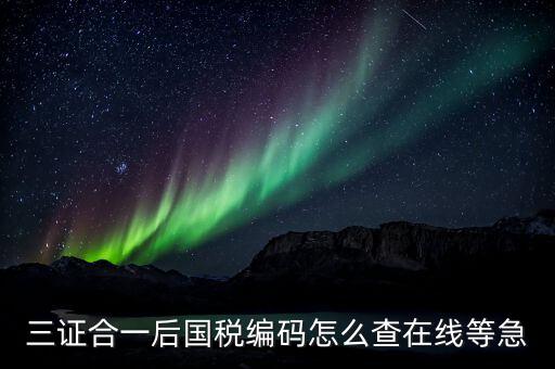 個(gè)人稅務(wù)編號(hào)如何查，請(qǐng)問(wèn)在哪里可以查到納稅人編碼
