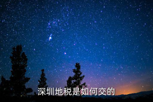 深圳市國家稅務局如何交稅，深圳市公司網(wǎng)上報國稅要這么操作啊