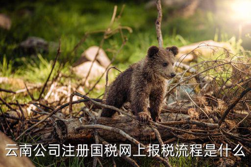 如何進入云南網(wǎng)上稅務(wù)申報系統(tǒng)，如何進行網(wǎng)上稅務(wù)申報