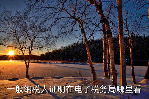 電子稅務(wù)局如何查詢稅務(wù)登記證，一般納稅人證明在電子稅務(wù)局哪里看