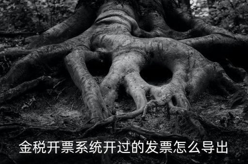 金稅開票系統(tǒng)開過的發(fā)票怎么導出