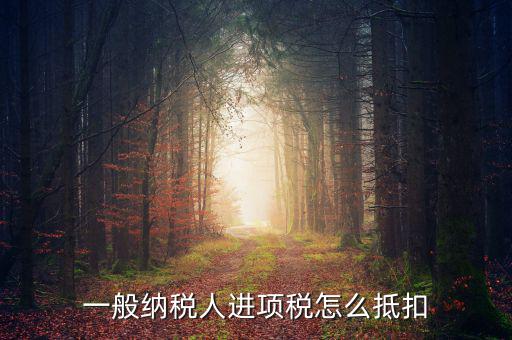 一般納稅人進(jìn)項稅怎么抵扣